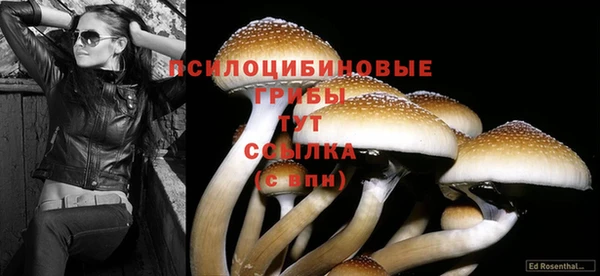 каннабис Кинешма