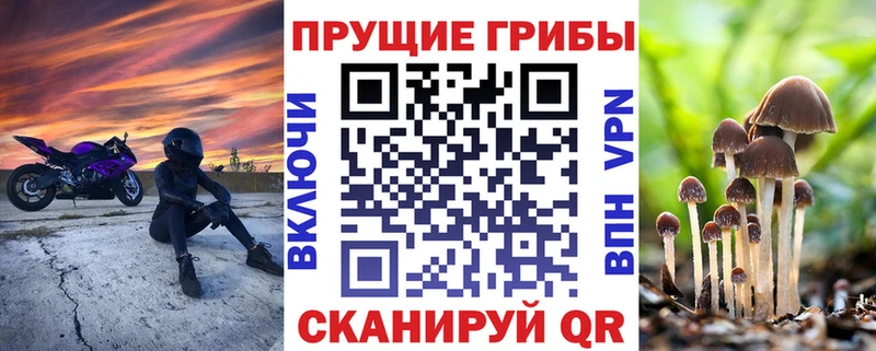 Купить где  Топки  Галлюциногенные грибы мицелий 